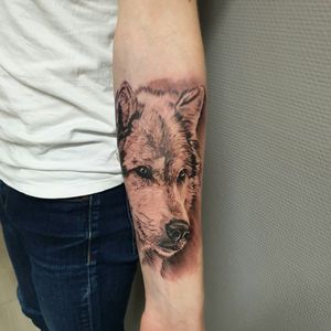 Tattoo by Tomasz tattoo