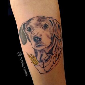 Primeiro realismo que tatuei.Homenagem ao falecido amigo Catito, o dog.