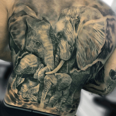 Elephant family backpiece all finished up, DM or email for appointments delmaytattoos@gmail.com