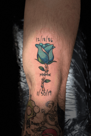 Blue memorial rose