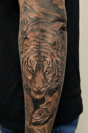 #tiger #realism 