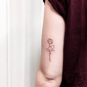Rose Linework Tattoo by Kirstie Trew @ KTREW Tattoo • Birmingham UK 🇬🇧 #linework #rose #rosetattoo #tattoo #birminghamuk #fineline #tattoos