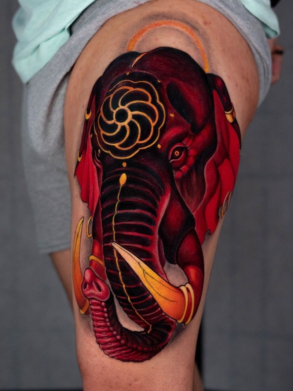 Elephant Knee Tattoo Photos Download The BEST Free Elephant Knee Tattoo  Stock Photos  HD Images