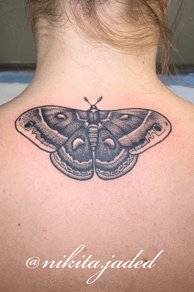 Dot work moth tattoo on the name of the neck 