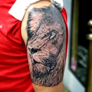 King of the Jungle#lion #liontattoo @raul_twistedlovetattoo 