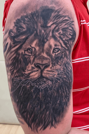 Lion #blackandgrey