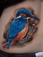 Check out this exquisite kingfisher recently tattooed by Edgar - @edgarivanov! 🕊💙
