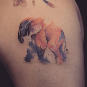 Watercolor elephant tattoo - Tattoo Chiang Mai   #watercolor #watercolortattoo #tattoolife #tattooist #equilattera #tattooartist #ChiangMai #tattoochiangmai #tattooartistchiangmai #tattoostudiochiangmai #inked #inkstagram #inkstinctsubmission 