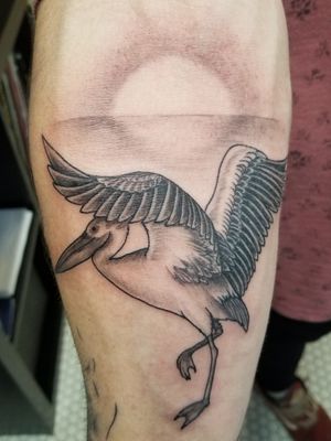 #tattoo #tattooart #pelican #art #VeniceBeach 