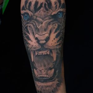 Realistic tiger 5 hours