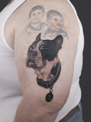 What an awesome boston terrier portrait by Josh?! #petportrait #dogportrait #dog #pet #blackandgrey 