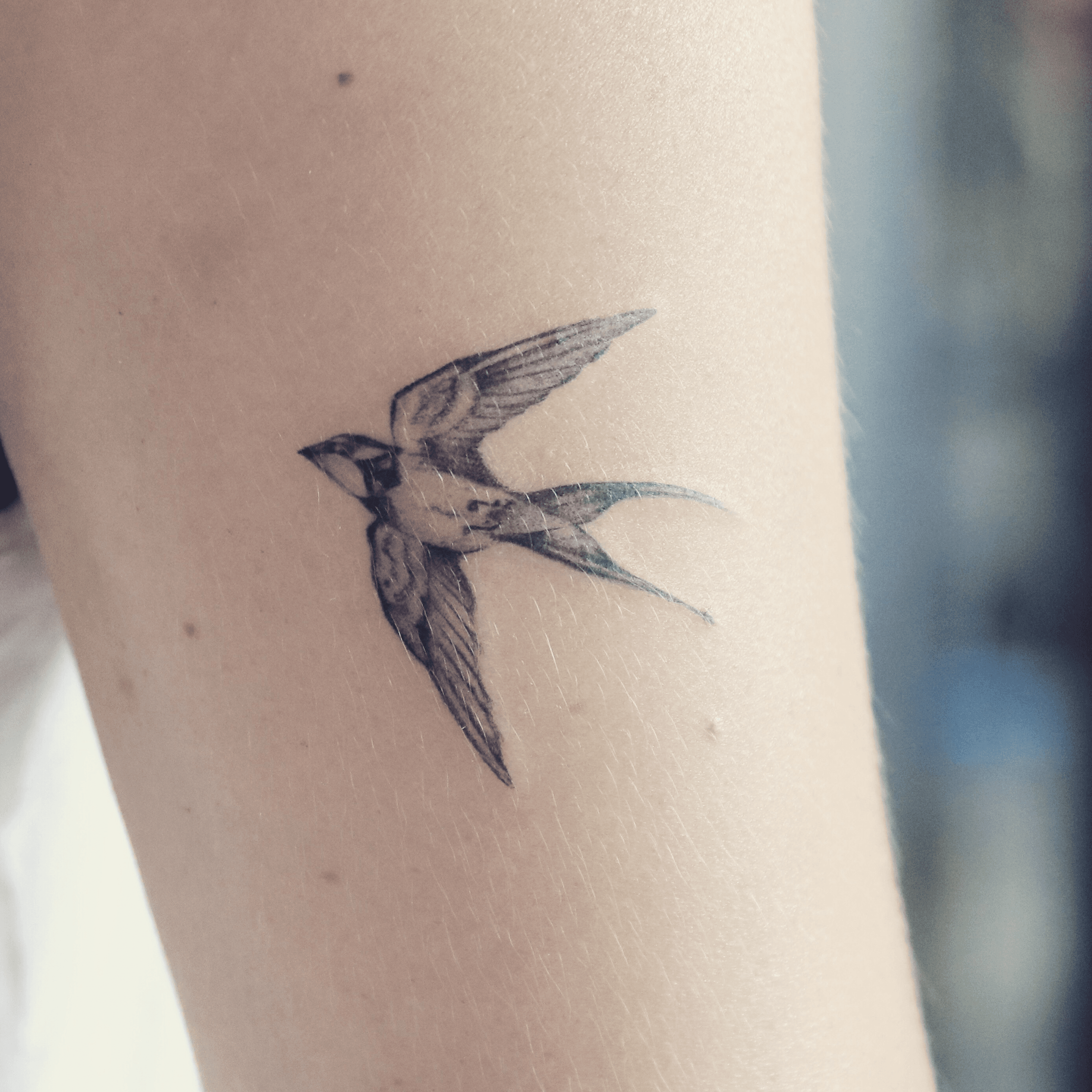 Share more than 79 swallow bird tattoo design best - esthdonghoadian