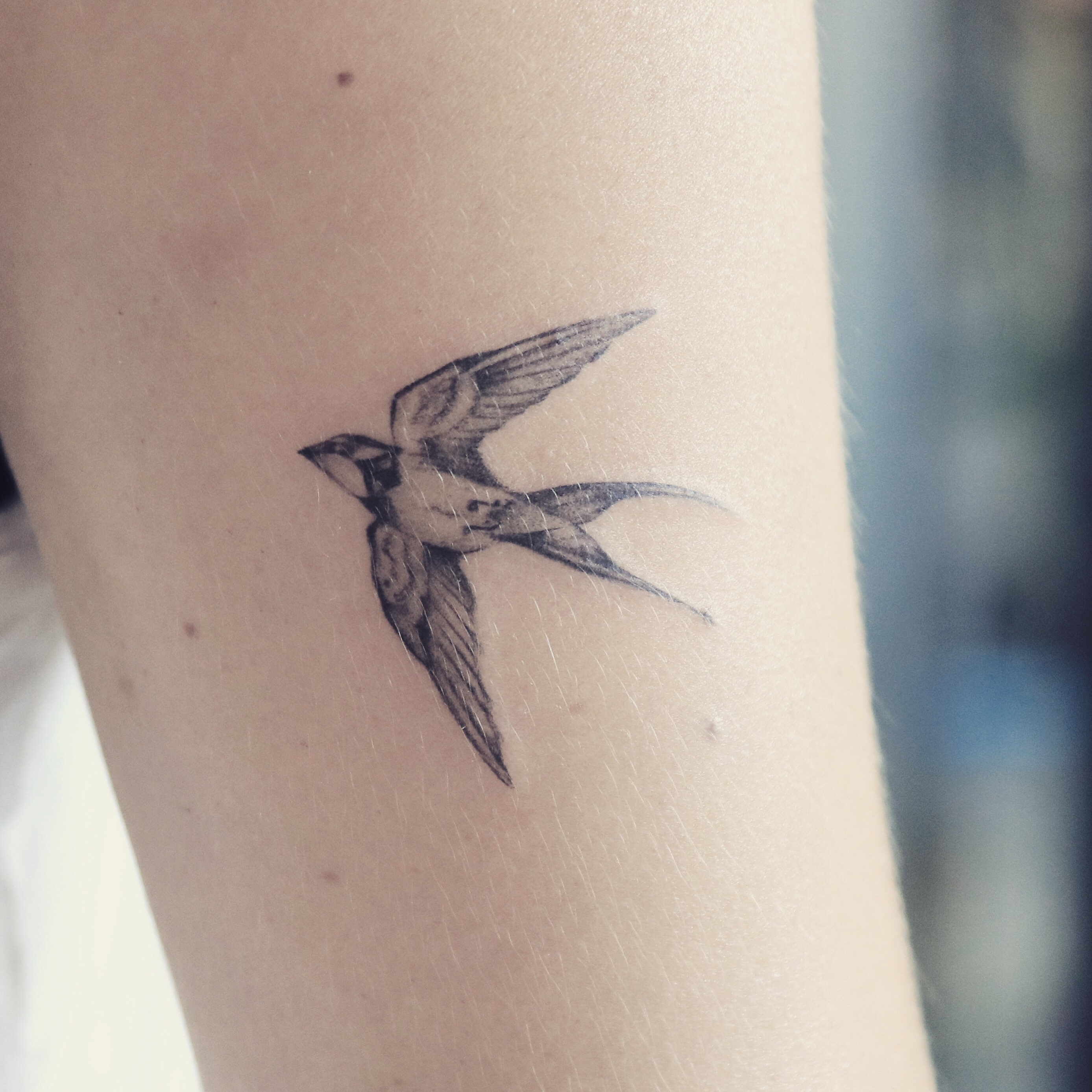 Simple Swallow Tattoo