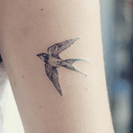 Minimal swallow bird tattoo - Tattoo Chiang Mai #swallow #smalltattoo #minimalist #btattooing #inkstinctsubmission #instatattoo #blackworkers #bird #blxckink #ChiangMai #tattoochiangmai