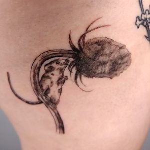 Little harvest mouse made by artist on instagram @her.alaska/@heralaska.tattoo Delicate work made next to my lavender branch on my upper thigh