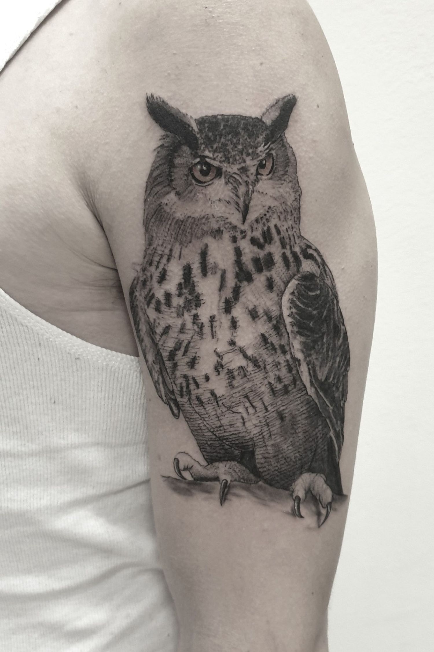 studio rook • Tattoo Studio • Tattoodo