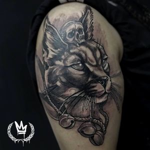 Caracal! 🙀⚡📿..#caracal #cat #bigcats #neotraditional #digitaldesign #draw #besttattoo #tats #tattoo #tattuagen #tatuaje #tattuaggi 