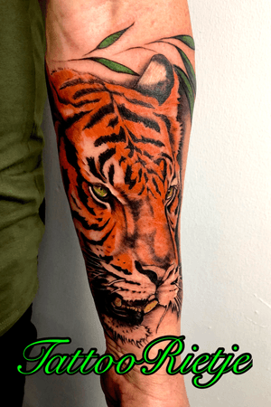 Tiger tattoo #colourtattoo #tigertattoo