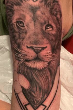  Cool lion tattoo I can’t wait to finish!
