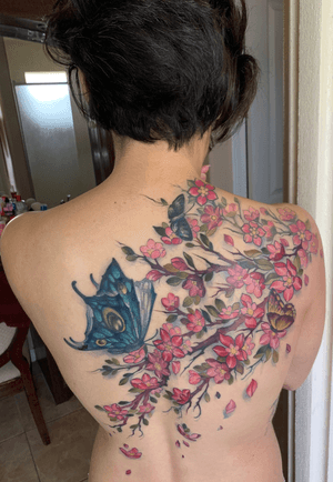 Cherry blossoms and butterflies back piece