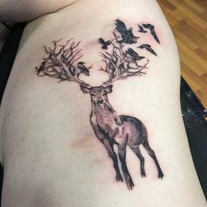 deer and crows on left ribs