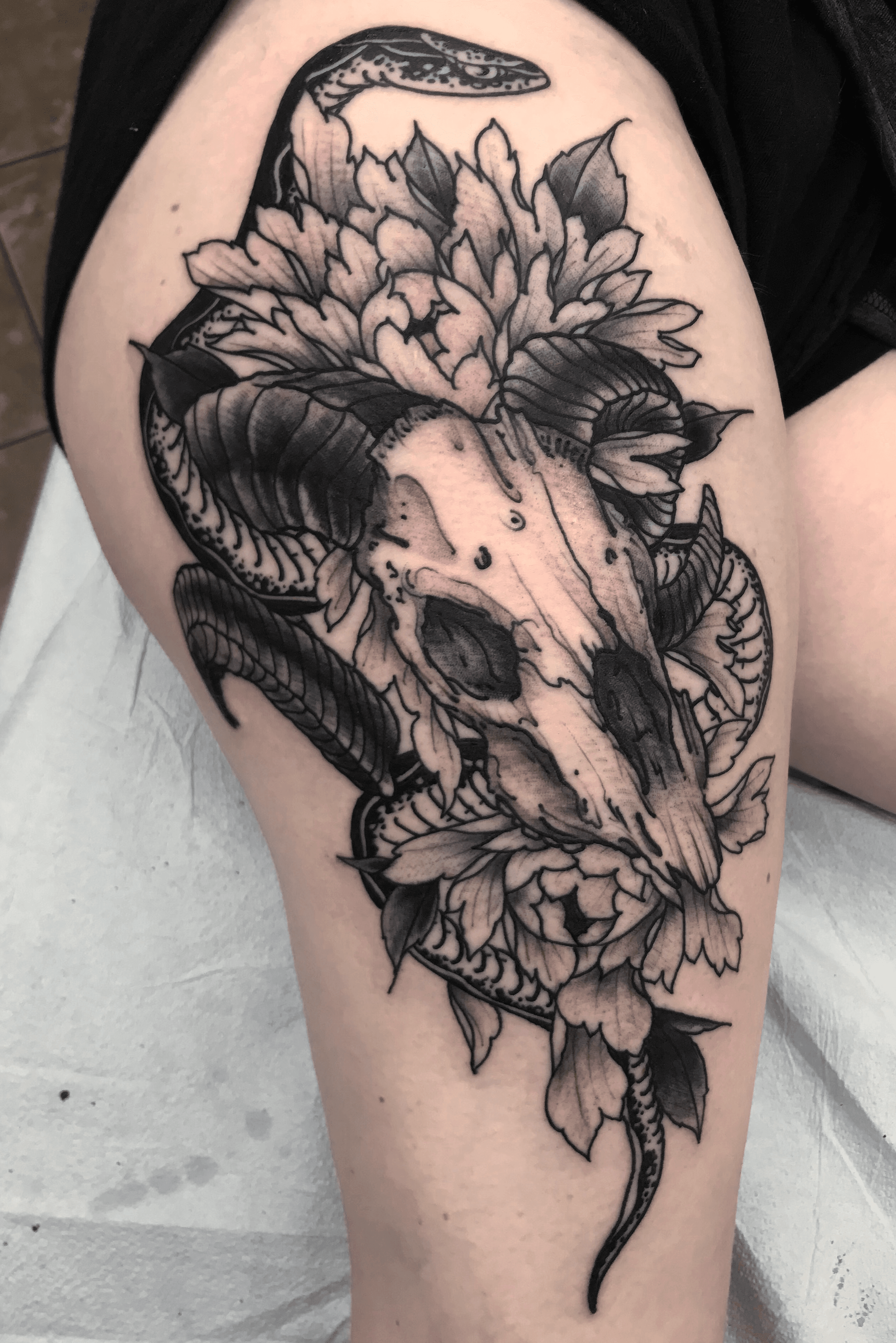 Goat Skull  Tattoo Abyss Montreal