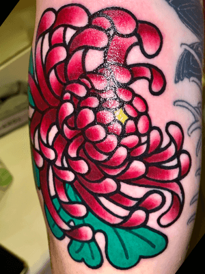 Slowly building my Japanese sleeve. S/O Kari at Onyx for this sick chrysanthemum!💮🐲