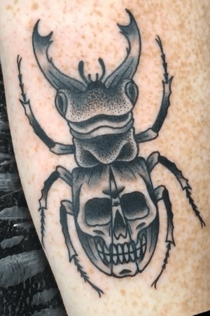 Beetle and skull