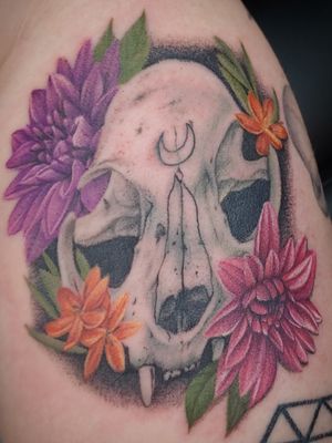 Cat skull and some flowers
