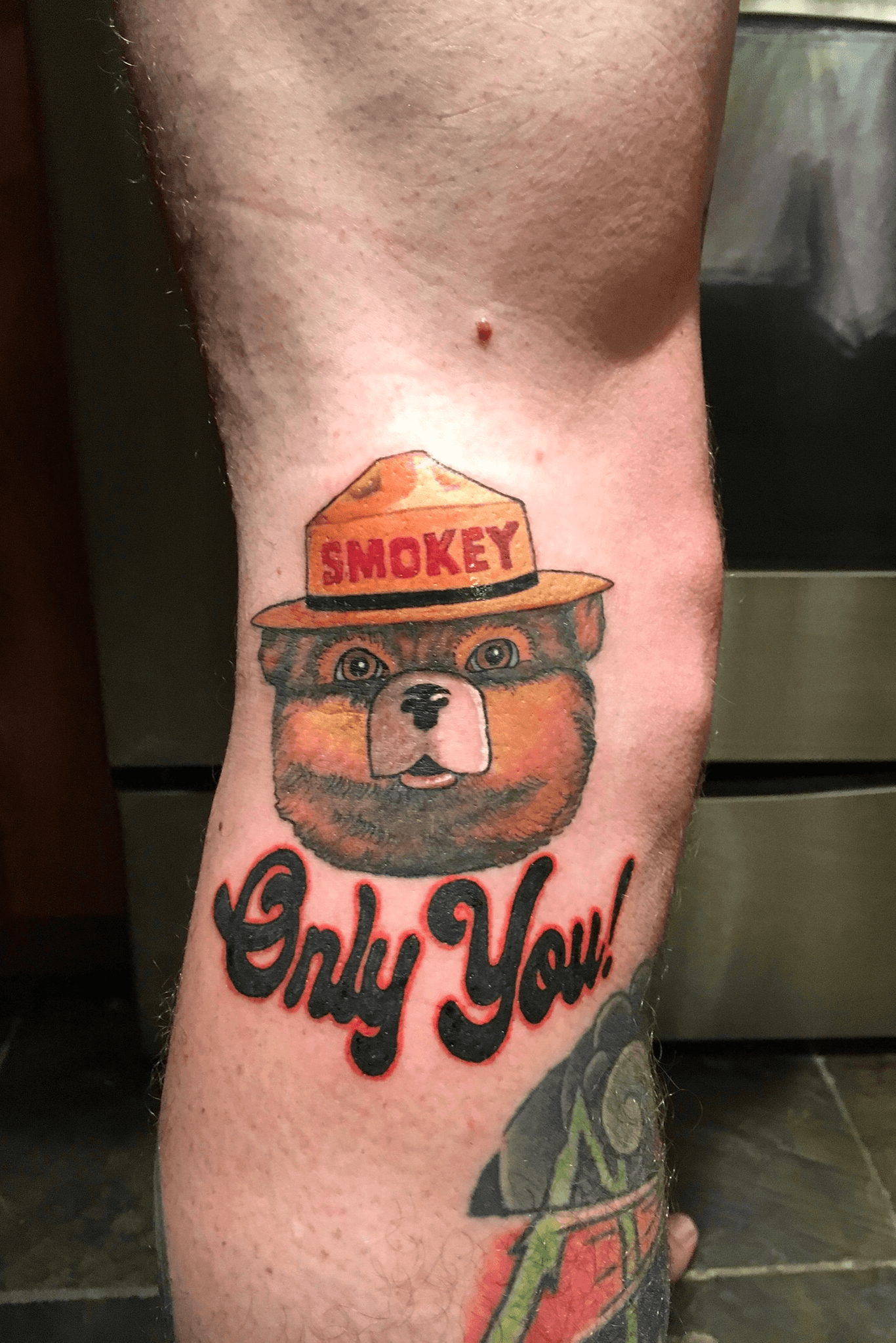 Smokey The Bear Temporary Tattoo Sticker  OhMyTat