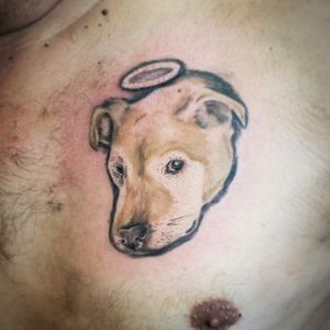 Dog portrait #dogtattoo #dog #fullcolor #fullcolorportrait #animaltattoo #animalportrait #memorial 