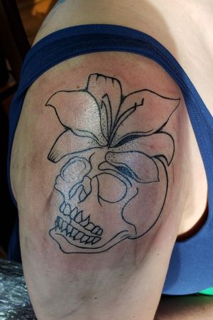 Outline#skull  #lily #lilly 
