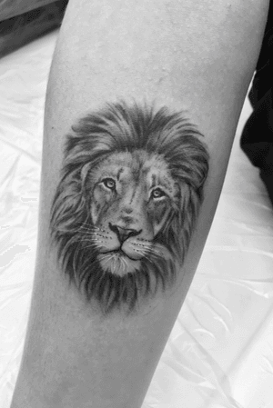 lion tattoo. 3 hours fin