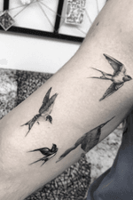 Micro realism birds tattoo 