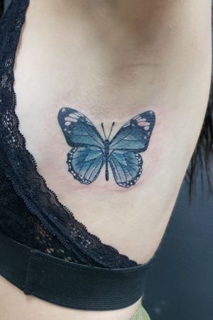 Fresh butterfly in Blue.