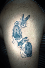 Rabbits #rabbittattoo #watercolortattoo #abstracttattoo #staugustinetattooartist 