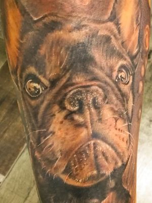 #tatuaje #perro #tattoo #dog #ink #dogsofinstagram #inked #instadog #tattoos #dogs #tattooed #perros #tatuajes #puppy #tattooartist #love #art #pet #tattooart #dogstagram #spain #perrosdeinstagram #tattoolife #doglover #inkedup #mascota #tattooing  #murcia#tatuajes_cuervo