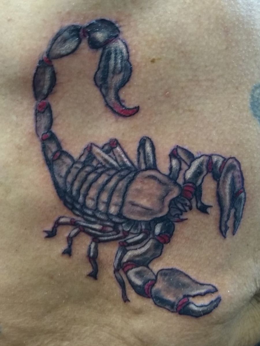 Tattoo uploaded by Whiskey & Ink Tattoo • Scorpion on the belly • Tattoodo