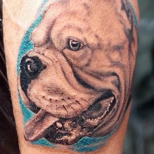 Perro,digo tattoo