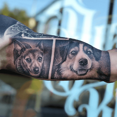 Realism pet tattoo by Veghea Adi aka dirtyblacktattoo #VegheaAdi #dirtyblacktattoo #realism #blackandgrey #pet #petportrait #dog #animal 