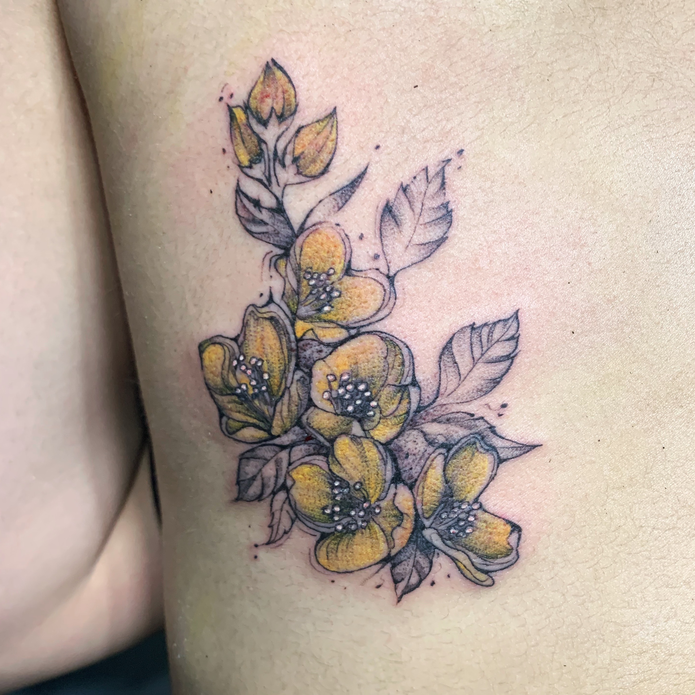 I had the beeeeeest time doing this tattoo for Shakira today A snake Oregon  grape peony butterflies and bees  this was a challenge  Instagram