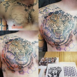 Realistic engal/siberian tiger & hex cover up project