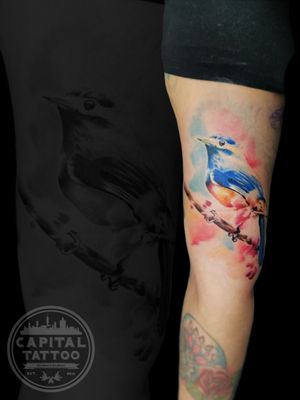 #tattoo simboliza la felicidad, la buena suerte y la protección. Muchas culturas consideran que avistar un colibrí es un buen augurio, un signo protección. Al igual que como ocurre con todas las aves, los colibríes simbolizan la libertad 🕊️
#tatuaje realizado por SRZURDOTattoosshh 🤩👌
.
.
.
.
.
#capitaltattoomexico #fuckingvida #ink #inked #tattooed #tattooartist #tattooart #tattoolife #inkedup #inkedgirls #girlswithtattoos #instatattoo #bodyart #tattooist #tattooing #tattooedgirls #blackwork #colibri #animal #ave #naturaleza #libertad