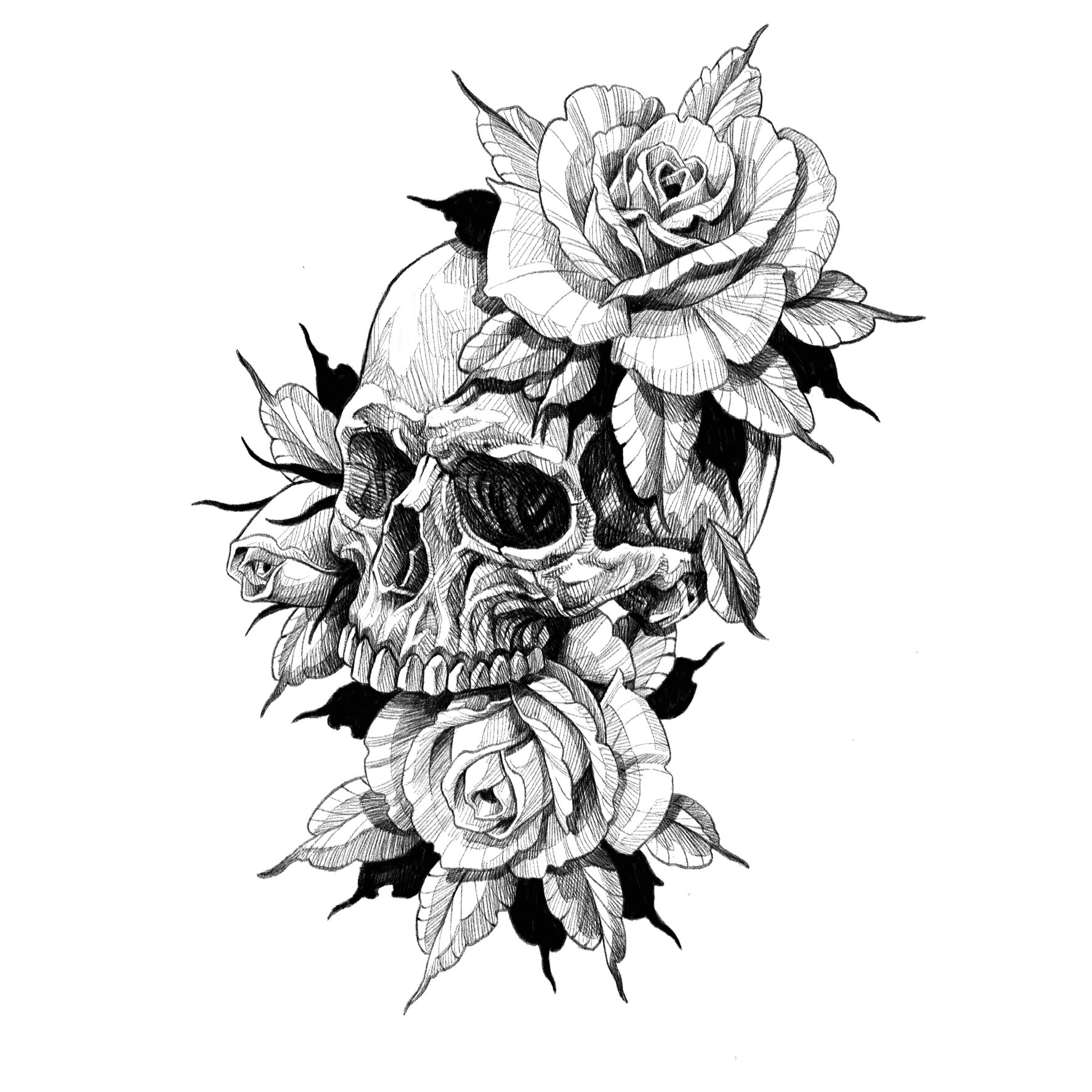 black rose skull tattoo designs  Clip Art Library