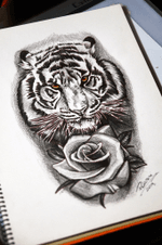 #tigertattoo #tigretattoo #thiagopadovani #tattoosketch