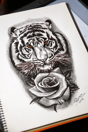 #tigertattoo #tigretattoo #thiagopadovani #tattoosketch