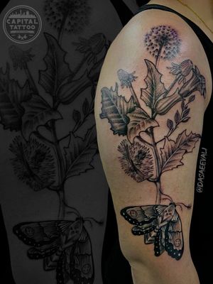 Aparta tu cita y comienza tu proyecto de #tattoo ✌😎️
Realizado poDasaeev Art.t.
.
.
.
.
.
#capitaltattoomexico #fuckingvida #ink #inked #tattooed #tattooartist #tattooart #tattoolife #inkedup #inkedgirls #girlswithtattoos #instatattoo #bodyart #tattooist #tattooing #tattooedgirls #blackwork #polilla #naturaleza #insecto #planta #flor #manga