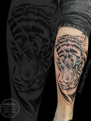 #tigre 🐯 están asociados con el poder, la ferocidad, la pasión y la sensualidad, la belleza y la velocidad, la crueldad y la cólera. ✌😎️
#tatuaje realizado por SRZURDOTattoosshh
.
.
.
.
.
#capitaltattoomexico #fuckingvida #ink #inked #tattooed #tattooartist #tattooart #tattoolife #inkedup #inkedgirls #girlswithtattoos #instatattoo #bodyart #tattooist #tattooing #tattooedgirls #blackwork #tiger #tattoo #pierna
