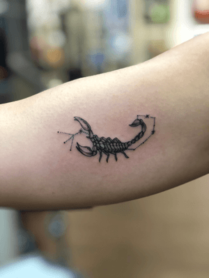 Fineline scorpion zodiac sign