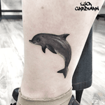 Sweet dolphin 🐬 #tattoodo #lucagardiman #dolphin 